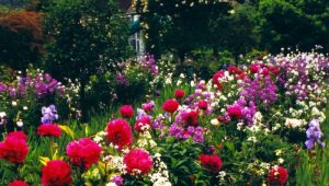 jardim florido